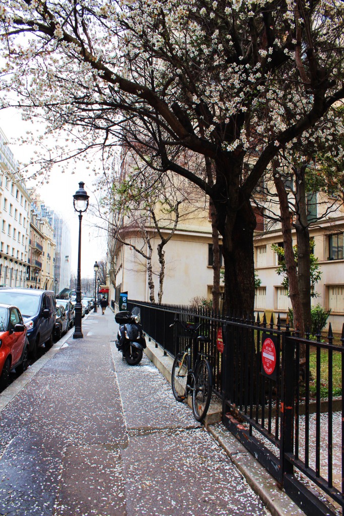 Paris Streets Spring 