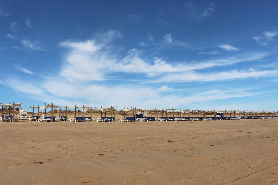 Beach Day in Algarve 