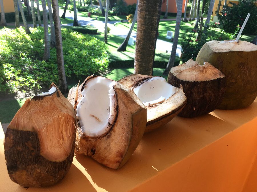 coco nuts